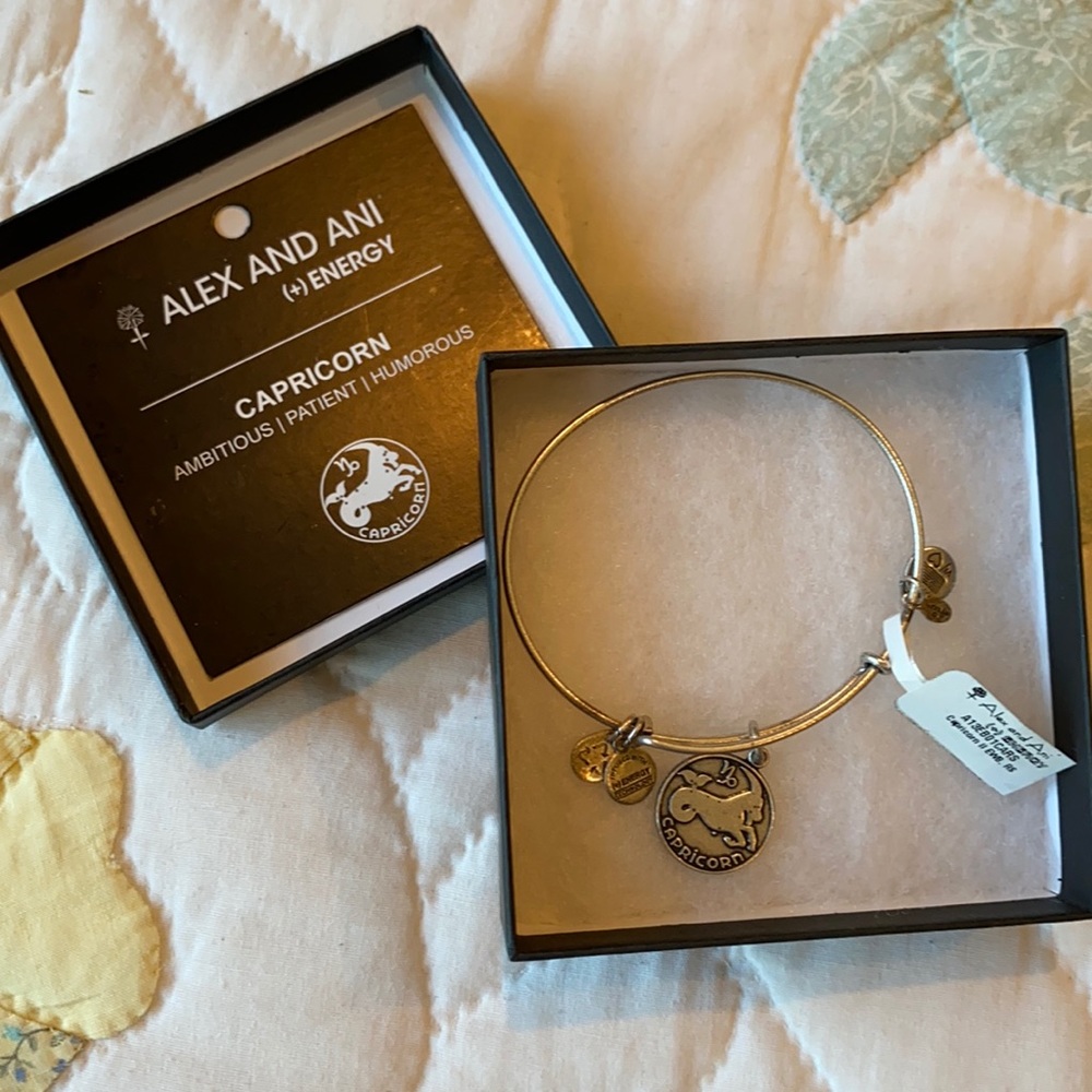 Alex and Ani (+) Energy - Capricorn bracelet
